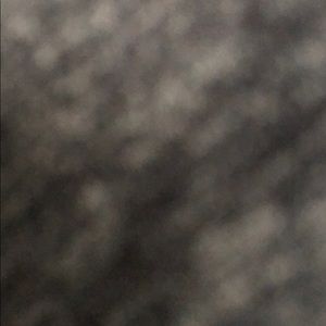 Meet your Posher, Bronson